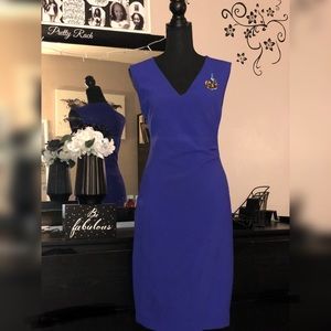 Diane Von Furstenburg Bodycon Midi Dress